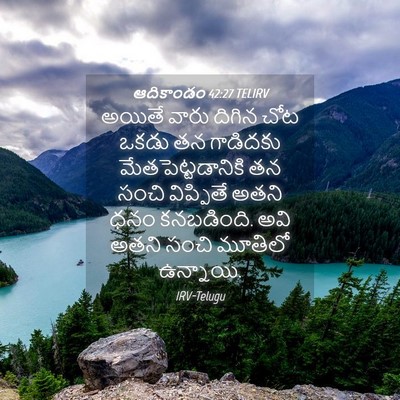 Picture 04 - ఆదికాండం 42:27 TELIRV - అయితే వారు దిగిన - Bible Verse Picture