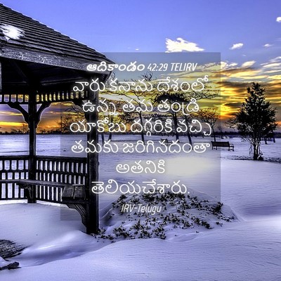 Picture 04 - ఆదికాండం 42:29 TELIRV - వారు కనాను దేశంలో - Bible Verse Picture