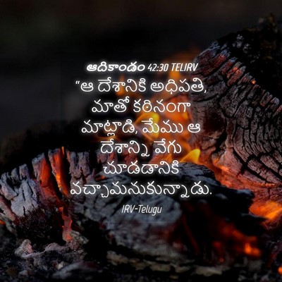 Picture 04 - ఆదికాండం 42:30 TELIRV - “ఆ దేశానికి - Bible Verse Picture