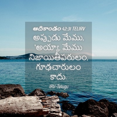 Picture 04 - ఆదికాండం 42:31 TELIRV - అప్పుడు మేము, - Bible Verse Picture