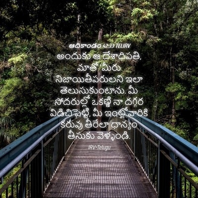 Picture 04 - ఆదికాండం 42:33 TELIRV - అందుకు ఆ - Bible Verse Picture
