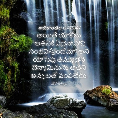 Picture 04 - ఆదికాండం 42:4 TELIRV - అయితే యాకోబు - Bible Verse Picture