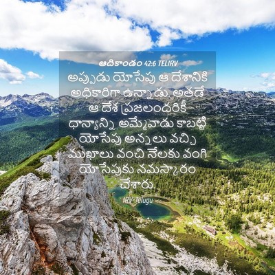 Picture 04 - ఆదికాండం 42:6 TELIRV - అప్పుడు యోసేపు ఆ - Bible Verse Picture