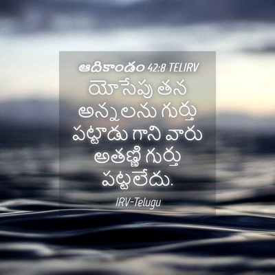 Picture 04 - ఆదికాండం 42:8 TELIRV - యోసేపు తన అన్నలను - Bible Verse Picture