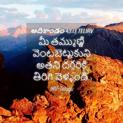 Picture 04 - ఆదికాండం 43:13 TELIRV - మీ తమ్ముణ్ణి - Bible Verse Picture