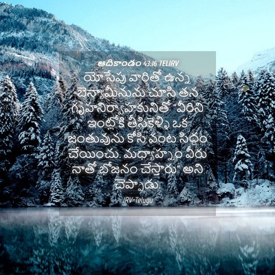 Picture 04 - ఆదికాండం 43:16 TELIRV - యోసేపు వారితో - Bible Verse Picture