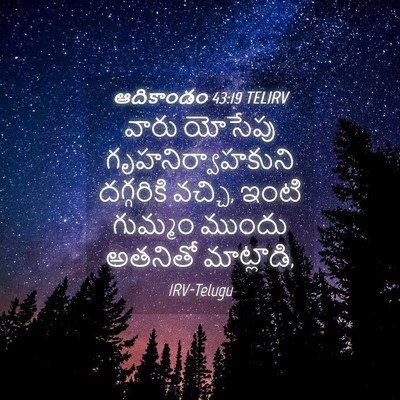 Picture 04 - ఆదికాండం 43:19 TELIRV - వారు యోసేపు - Bible Verse Picture