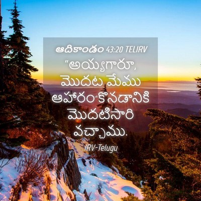 Picture 04 - ఆదికాండం 43:20 TELIRV - “అయ్యగారూ, మొదట - Bible Verse Picture
