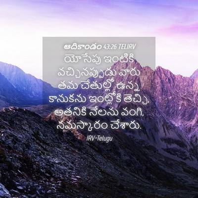 Picture 04 - ఆదికాండం 43:26 TELIRV - యోసేపు ఇంటికి - Bible Verse Picture