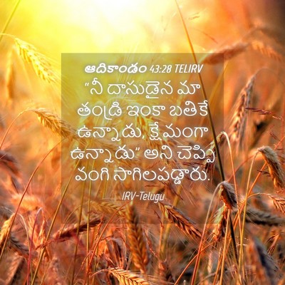 Picture 04 - ఆదికాండం 43:28 TELIRV - “నీ దాసుడైన మా - Bible Verse Picture