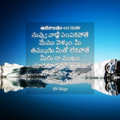 Picture 04 - ఆదికాండం 43:5 TELIRV - నువ్వు వాణ్ణి - Bible Verse Picture