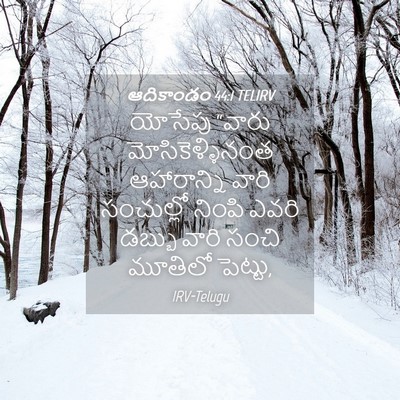 Picture 04 - ఆదికాండం 44:1 TELIRV - యోసేపు “వారు - Bible Verse Picture