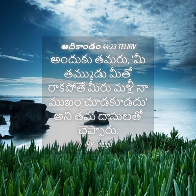Picture 04 - ఆదికాండం 44:23 TELIRV - అందుకు తమరు, ‘మీ - Bible Verse Picture