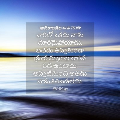 Picture 04 - ఆదికాండం 44:28 TELIRV - వారిలో ఒకడు నాకు - Bible Verse Picture