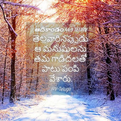 Picture 04 - ఆదికాండం 44:3 TELIRV - తెల్లవారినప్పుడు - Bible Verse Picture
