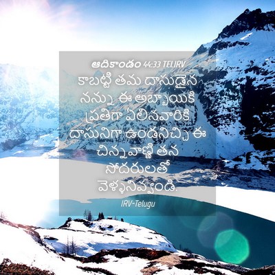 Picture 04 - ఆదికాండం 44:33 TELIRV - కాబట్టి తమ - Bible Verse Picture