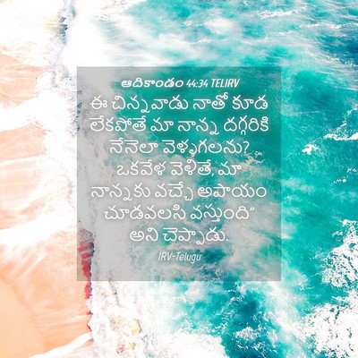 Picture 04 - ఆదికాండం 44:34 TELIRV - ఈ చిన్నవాడు నాతో - Bible Verse Picture
