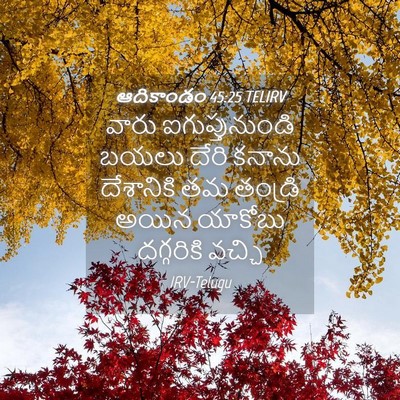 Picture 04 - ఆదికాండం 45:25 TELIRV - వారు ఐగుప్తునుండి - Bible Verse Picture