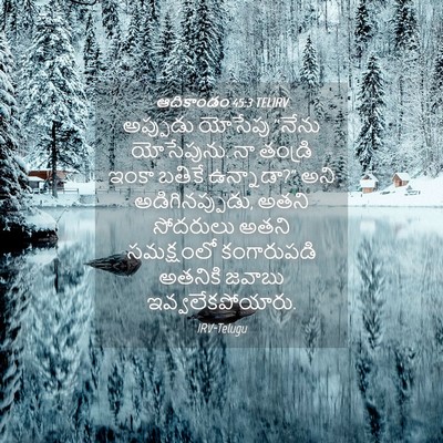 Picture 04 - ఆదికాండం 45:3 TELIRV - అప్పుడు యోసేపు - Bible Verse Picture