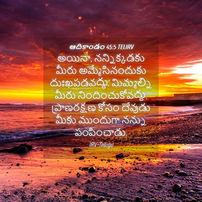 Picture 04 - ఆదికాండం 45:5 TELIRV - అయినా, - Bible Verse Picture
