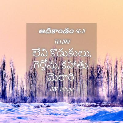 Picture 04 - ఆదికాండం 46:11 TELIRV - లేవి కొడుకులు, - Bible Verse Picture