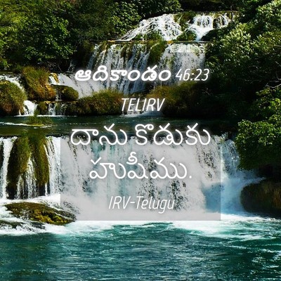 Picture 04 - ఆదికాండం 46:23 TELIRV - దాను కొడుకు - Bible Verse Picture