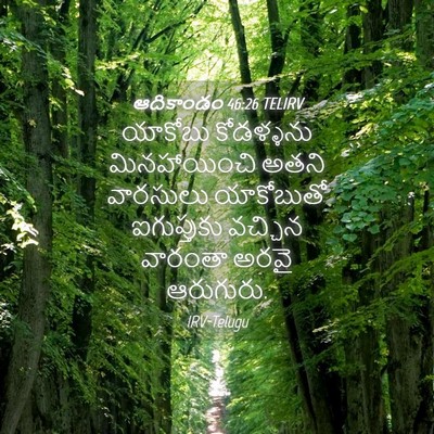 Picture 04 - ఆదికాండం 46:26 TELIRV - యాకోబు కోడళ్ళను - Bible Verse Picture