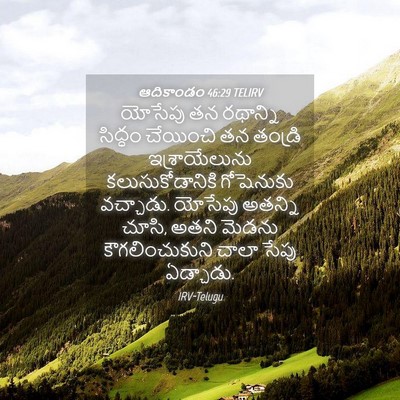 Picture 04 - ఆదికాండం 46:29 TELIRV - యోసేపు తన రథాన్ని - Bible Verse Picture