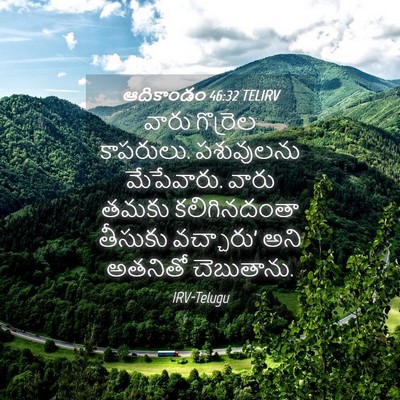 Picture 04 - ఆదికాండం 46:32 TELIRV - వారు గొర్రెల - Bible Verse Picture