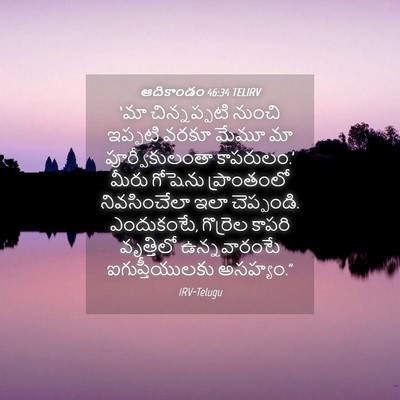 Picture 04 - ఆదికాండం 46:34 TELIRV - ‘మా చిన్నప్పటి - Bible Verse Picture