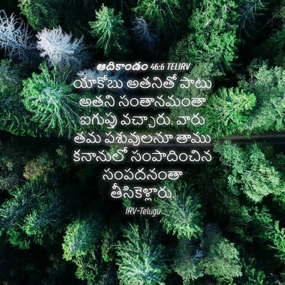 Picture 04 - ఆదికాండం 46:6 TELIRV - యాకోబు అతనితో - Bible Verse Picture