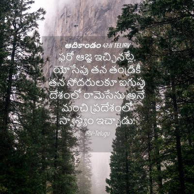Picture 04 - ఆదికాండం 47:11 TELIRV - ఫరో ఆజ్ఞ - Bible Verse Picture