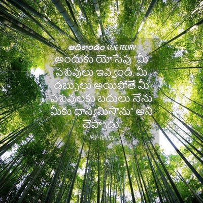 Picture 04 - ఆదికాండం 47:16 TELIRV - అందుకు యోసేపు “మీ - Bible Verse Picture