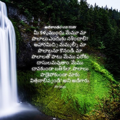 Picture 04 - ఆదికాండం 47:19 TELIRV - మీ కళ్ళముందు మేమూ - Bible Verse Picture