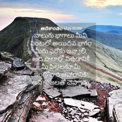 Picture 04 - ఆదికాండం 47:24 TELIRV - నాలుగు భాగాలు - Bible Verse Picture