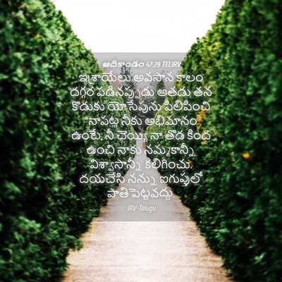 Picture 04 - ఆదికాండం 47:29 TELIRV - ఇశ్రాయేలు అవసాన - Bible Verse Picture