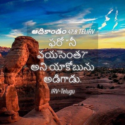 Picture 04 - ఆదికాండం 47:8 TELIRV - ఫరో “నీ వయసెంత?” - Bible Verse Picture