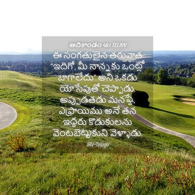 Picture 04 - ఆదికాండం 48:1 TELIRV - ఈ సంగతులైన తరువాత - Bible Verse Picture