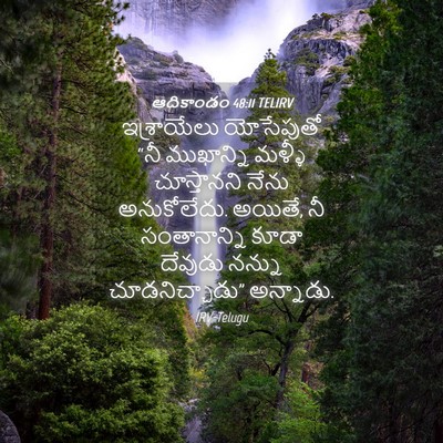 Picture 04 - ఆదికాండం 48:11 TELIRV - ఇశ్రాయేలు - Bible Verse Picture