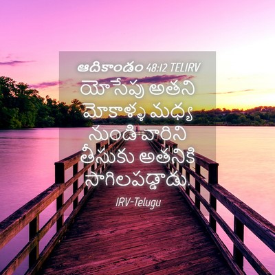 Picture 04 - ఆదికాండం 48:12 TELIRV - యోసేపు అతని - Bible Verse Picture