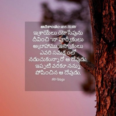 Picture 04 - ఆదికాండం 48:15 TELIRV - ఇశ్రాయేలు - Bible Verse Picture
