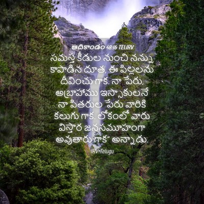 Picture 04 - ఆదికాండం 48:16 TELIRV - సమస్త కీడుల నుంచి - Bible Verse Picture