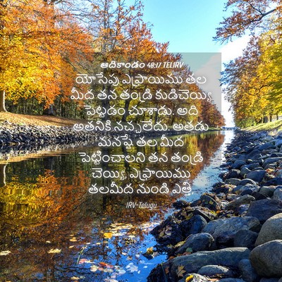 Picture 04 - ఆదికాండం 48:17 TELIRV - యోసేపు ఎఫ్రాయిము - Bible Verse Picture