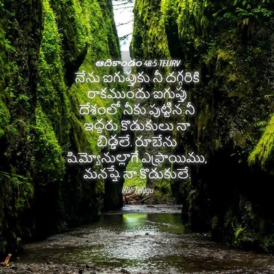 Picture 04 - ఆదికాండం 48:5 TELIRV - నేను ఐగుప్తుకు నీ - Bible Verse Picture