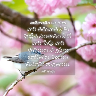 Picture 04 - ఆదికాండం 48:6 TELIRV - వారి తరువాత నీకు - Bible Verse Picture