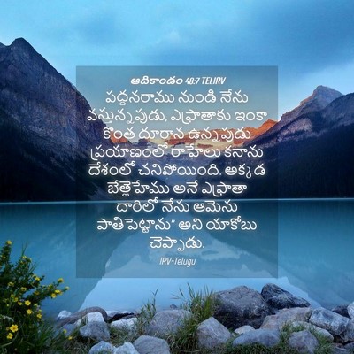 Picture 04 - ఆదికాండం 48:7 TELIRV - పద్దనరాము నుండి - Bible Verse Picture
