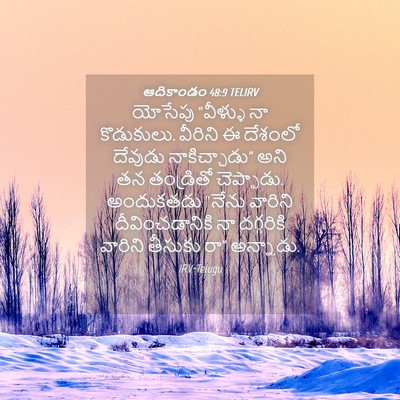 Picture 04 - ఆదికాండం 48:9 TELIRV - యోసేపు “వీళ్ళు నా - Bible Verse Picture