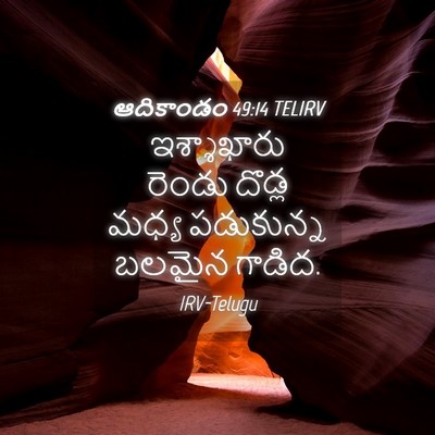 Picture 04 - ఆదికాండం 49:14 TELIRV - ఇశ్శాఖారు రెండు - Bible Verse Picture