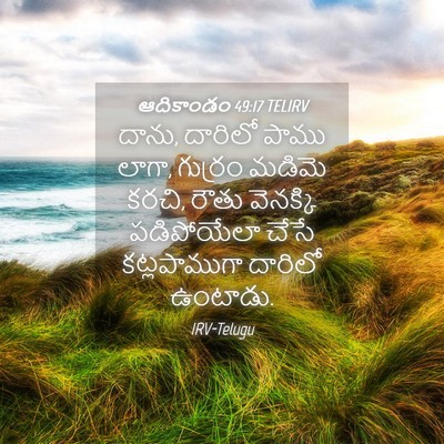 Picture 04 - ఆదికాండం 49:17 TELIRV - దాను, దారిలో పాము - Bible Verse Picture