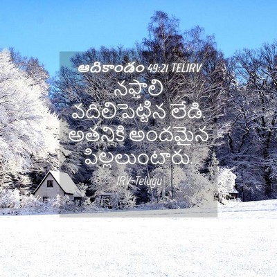 Picture 04 - ఆదికాండం 49:21 TELIRV - నఫ్తాలి - Bible Verse Picture